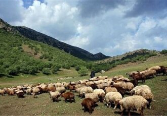 کوچ زودرس بهاره عشایر به اصفهان خسارت زا است